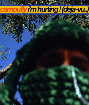 camoufly – i'm hurting ! (deja vu..)