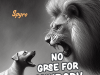 Spyro – No Gree For Anybody (NGFA)