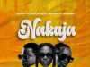 TOMMY FLAVOUR – Nakuja