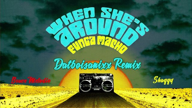 Bruce Melodie - When She’S Around Funga Macho Datboisanixx (Remix)