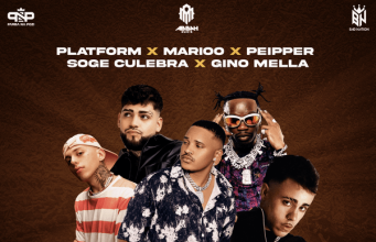 Platform – Ananipenda Remix