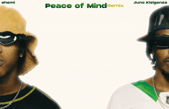 Shemi – Peace Of Mind (Remix)