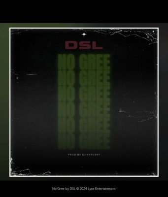 DSL - No Gree