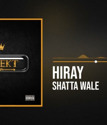 Shatta Wale - Hiray