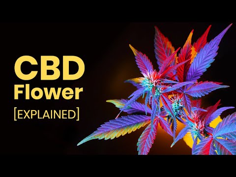 cali cbd flower uk