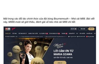 20bet casino trực tuyến tốt nhất