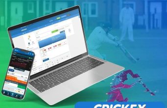 crickex login