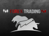 forex trading web app