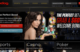 online casino odds