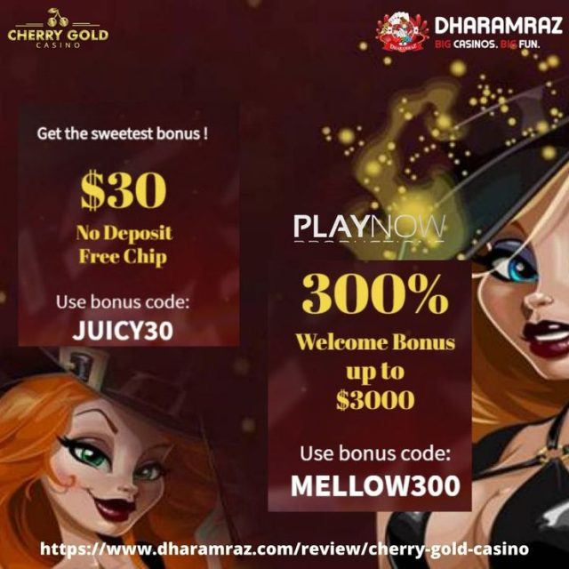 no deposit bonus ozwin casino