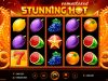 slot Hot Fruits 10 online