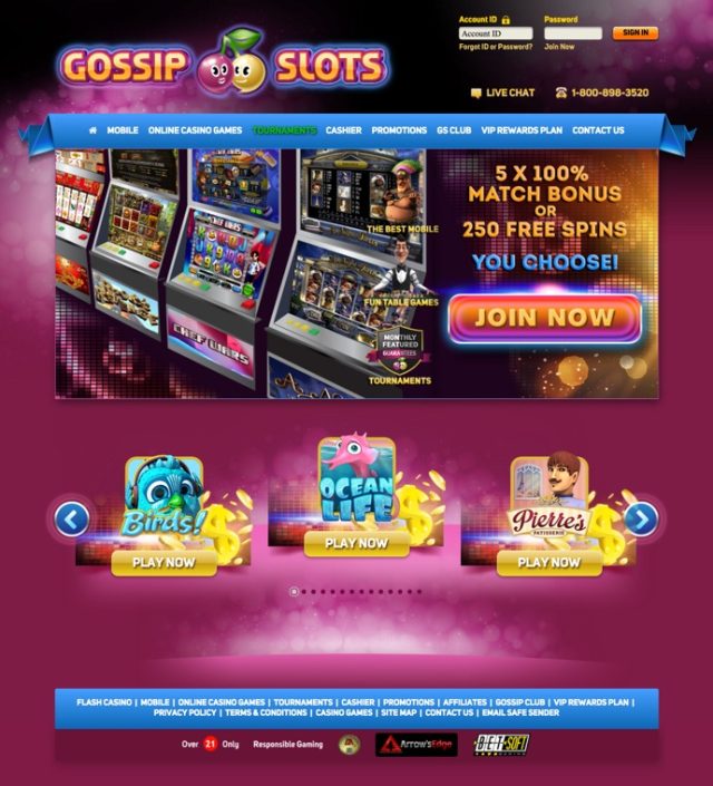 online casino bookie franchise reviews