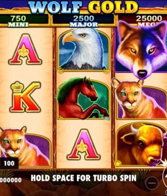 king of the jungle jackpot slot