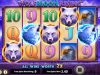 Book of Ra deluxe slot for real money