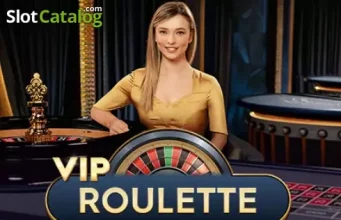 visa Casino Mobile Slots