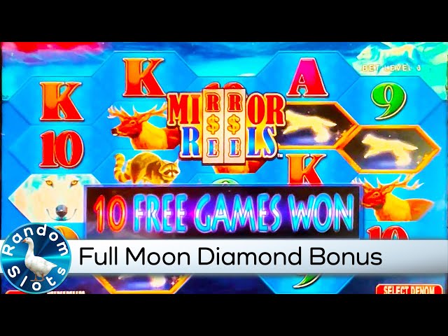 no deposit bonus 100 free spins