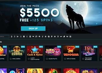 play wild wild spin slots